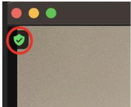 green shield in Zoom