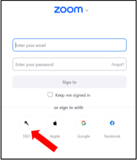 shows key icon of sso