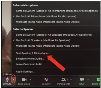 test speaker and microphone
